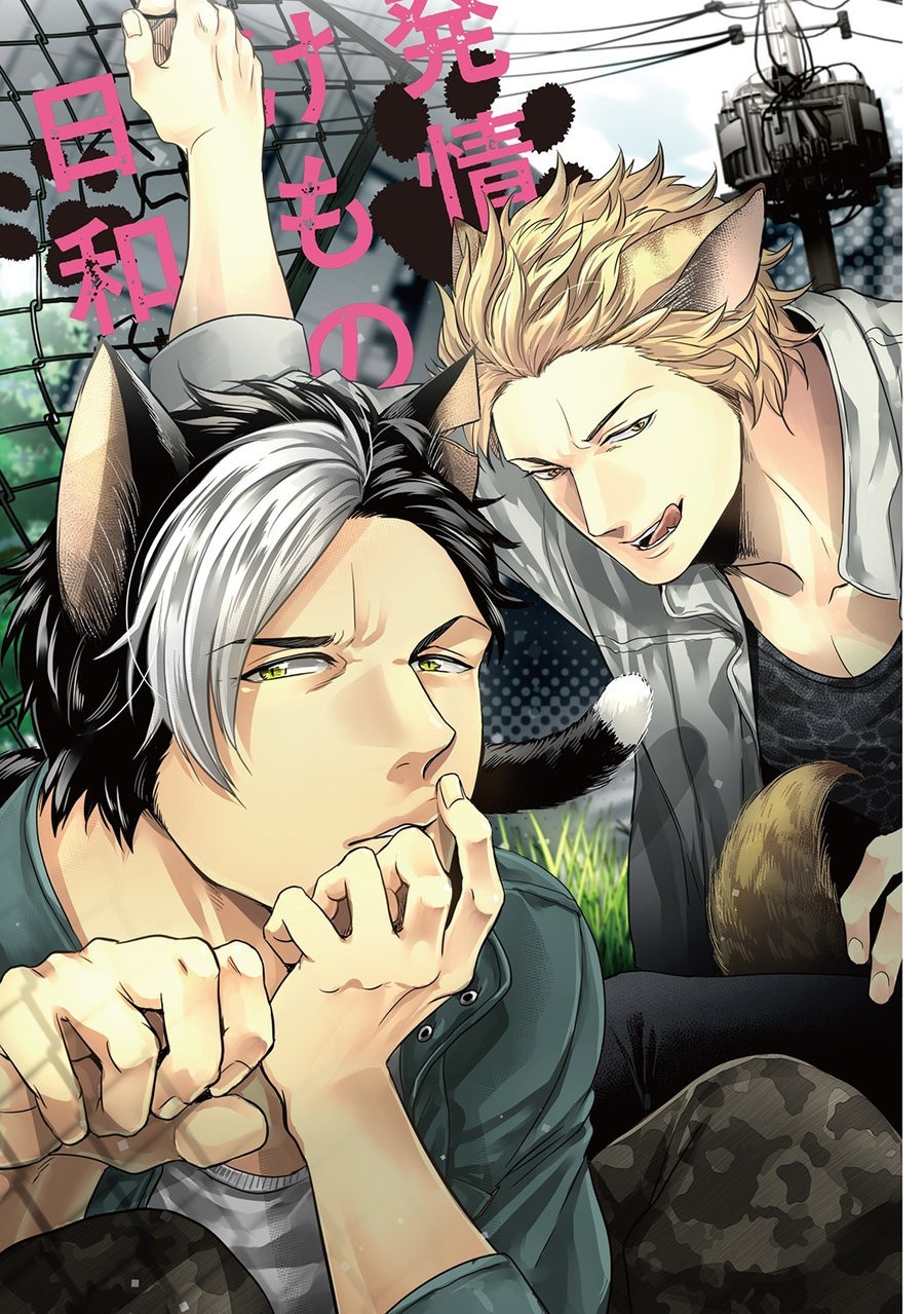 ハツジョウケモノビヨリ