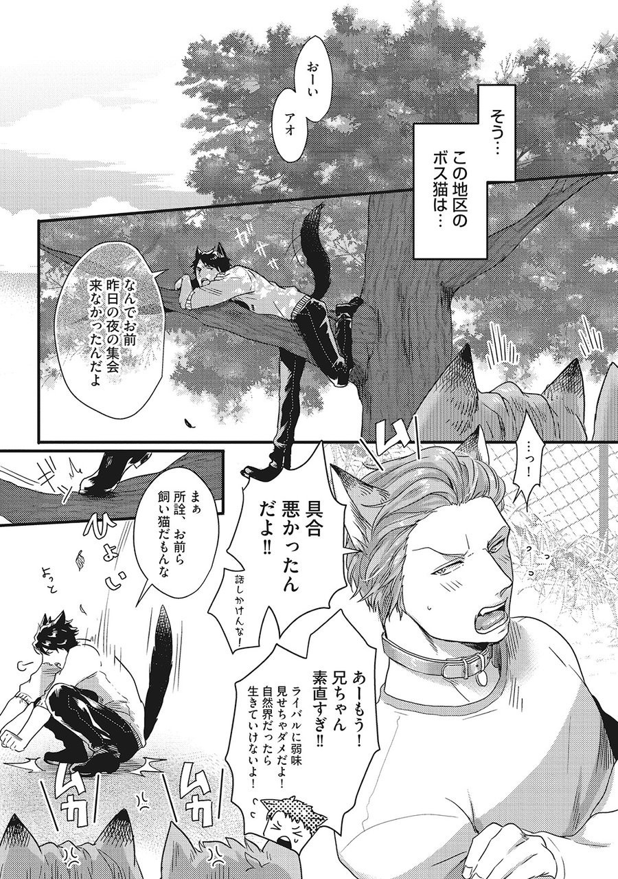 ハツジョウケモノビヨリ