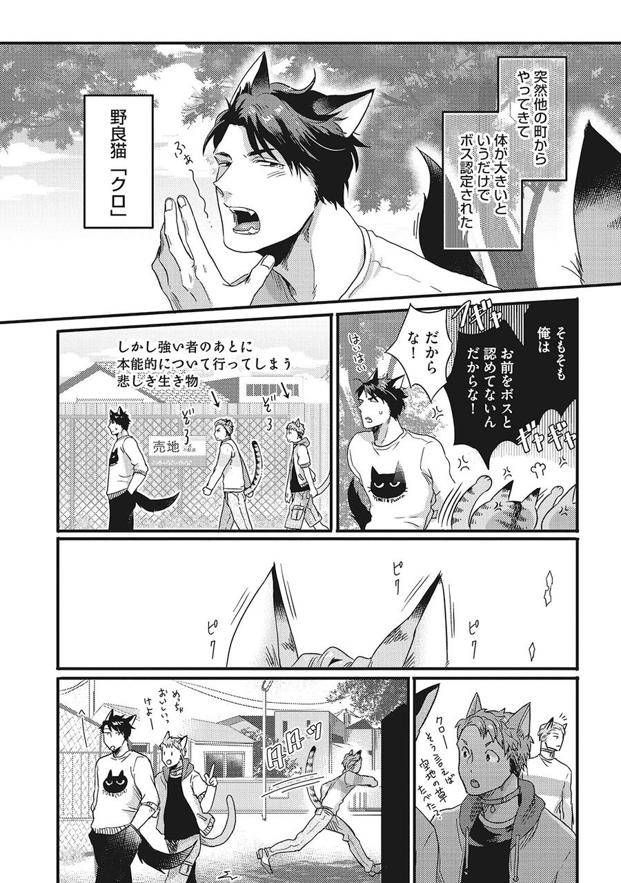 ハツジョウケモノビヨリ