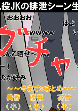 毛深いJK排便盗撮生配信