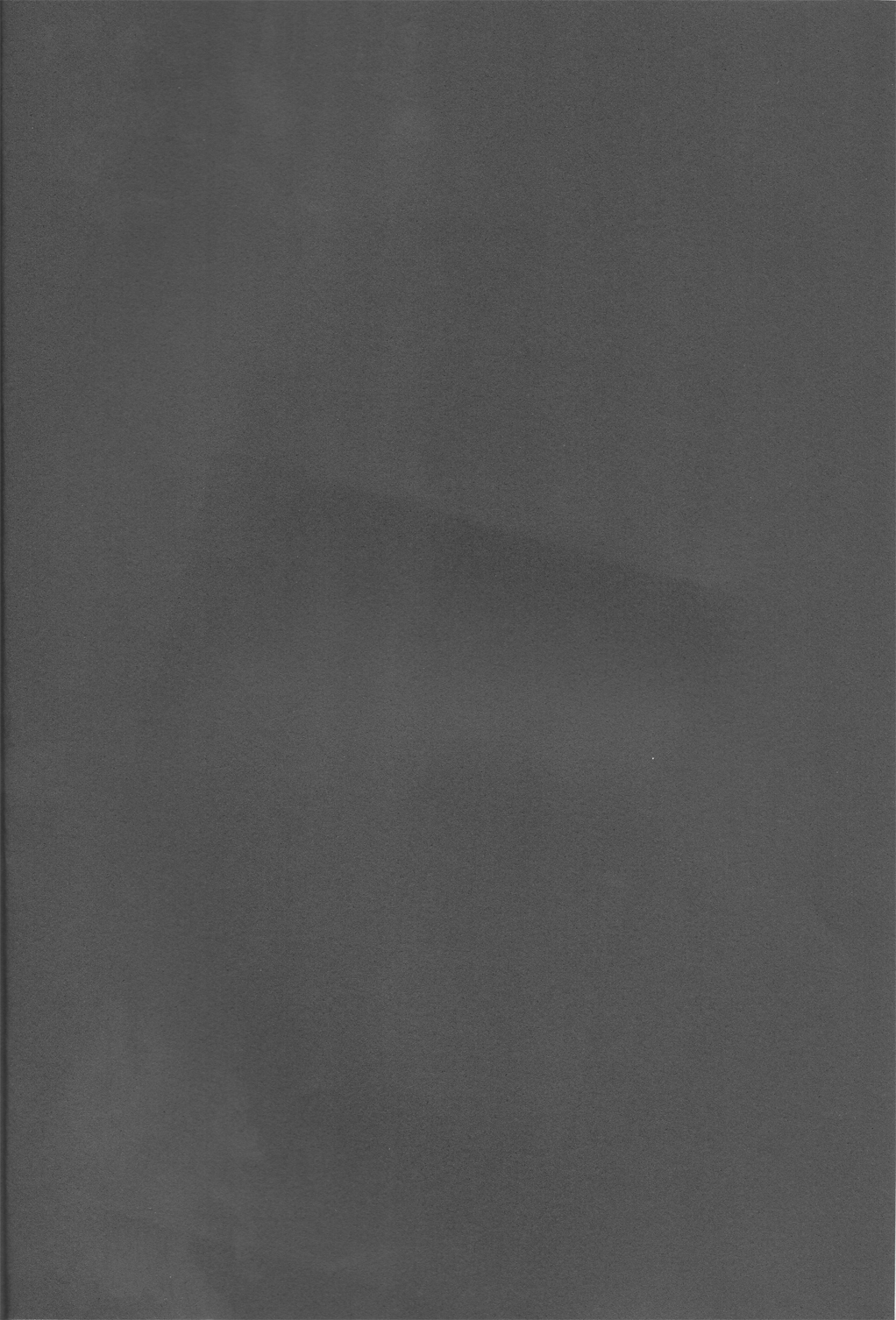 平行線-デュラララ!!