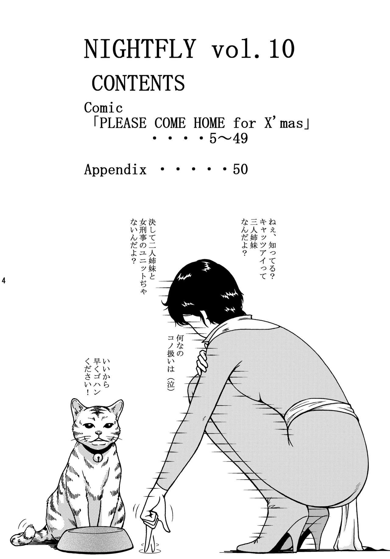 NIGHTFLY vol.10 X＆＃x27; masのために家に帰ってください