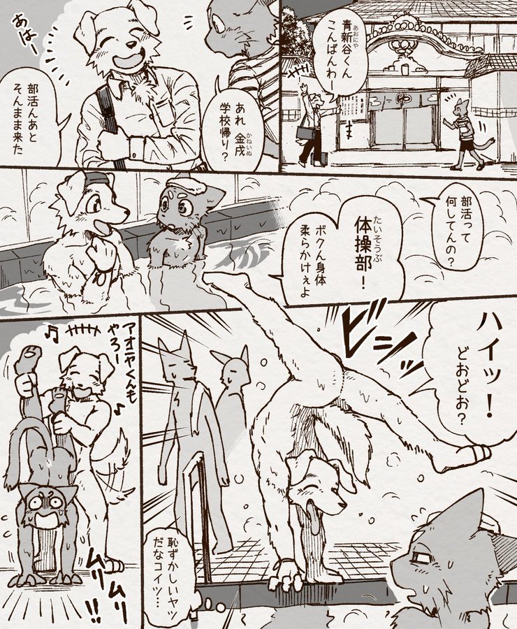 アオカネ銭湯日記