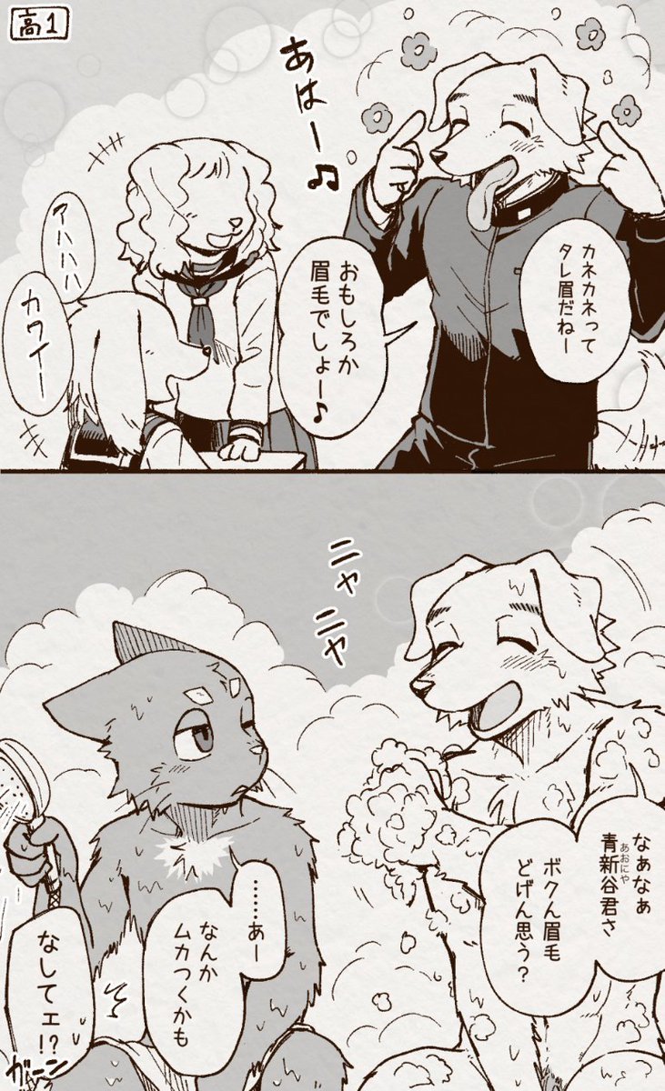 アオカネ銭湯日記