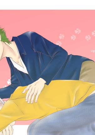 猫のしつけかた