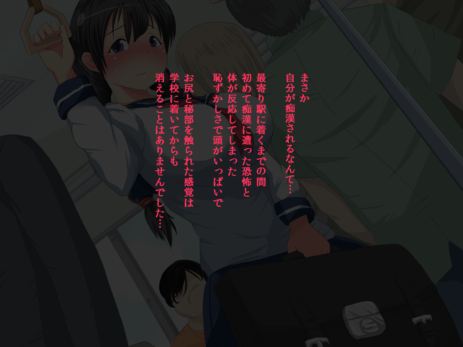 ジミJKチカンレイプ