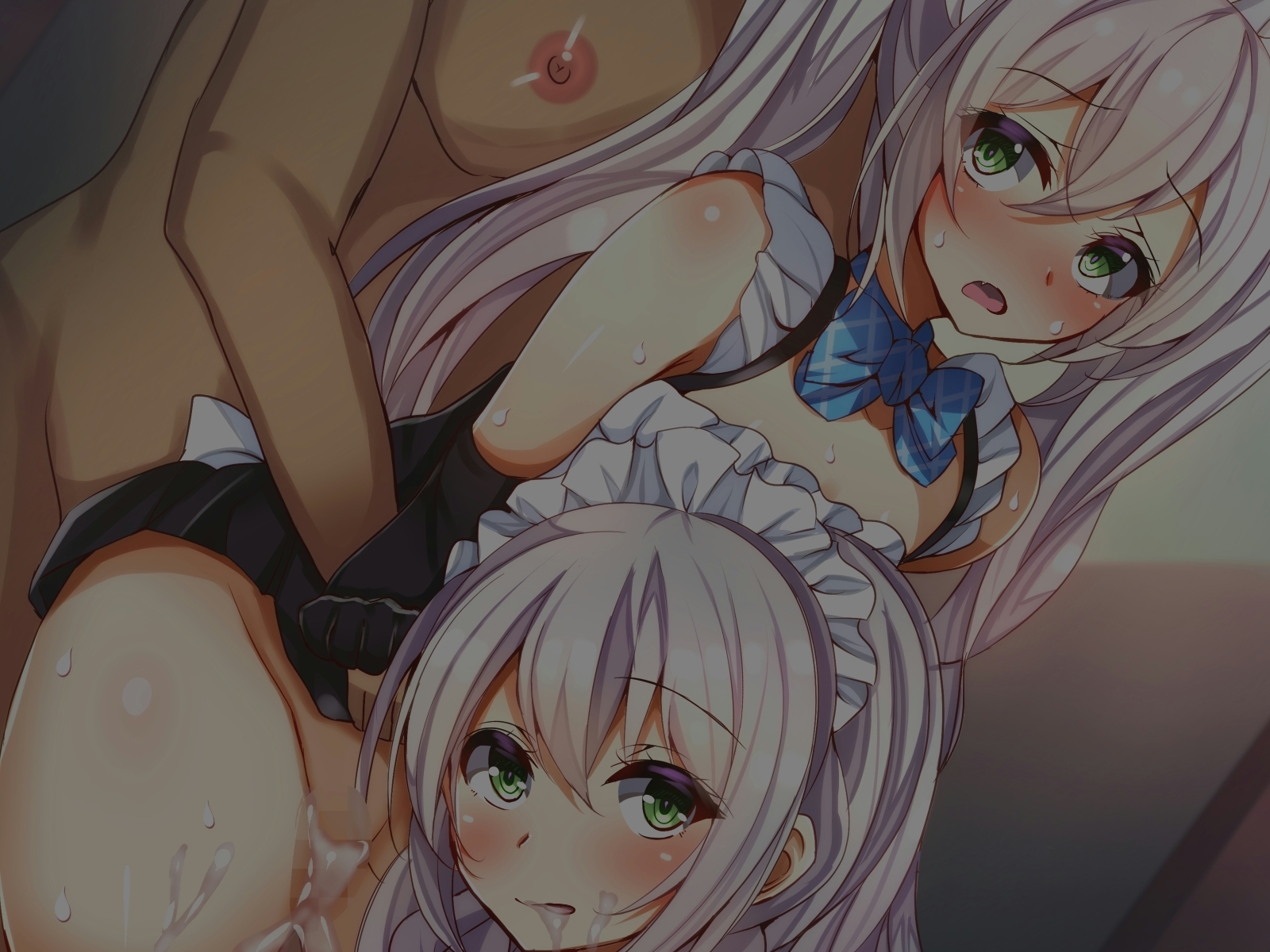 しずけメイド島井