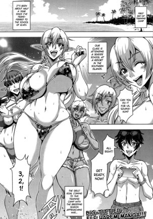 エルフハーレムアカデミア南国コツクリ合宿編