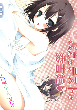 バカとテストと召喚獣姫秀吉