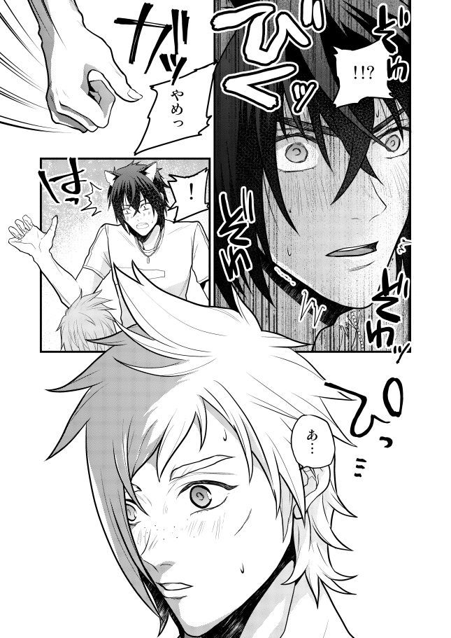 ルーシスキャットプリンス