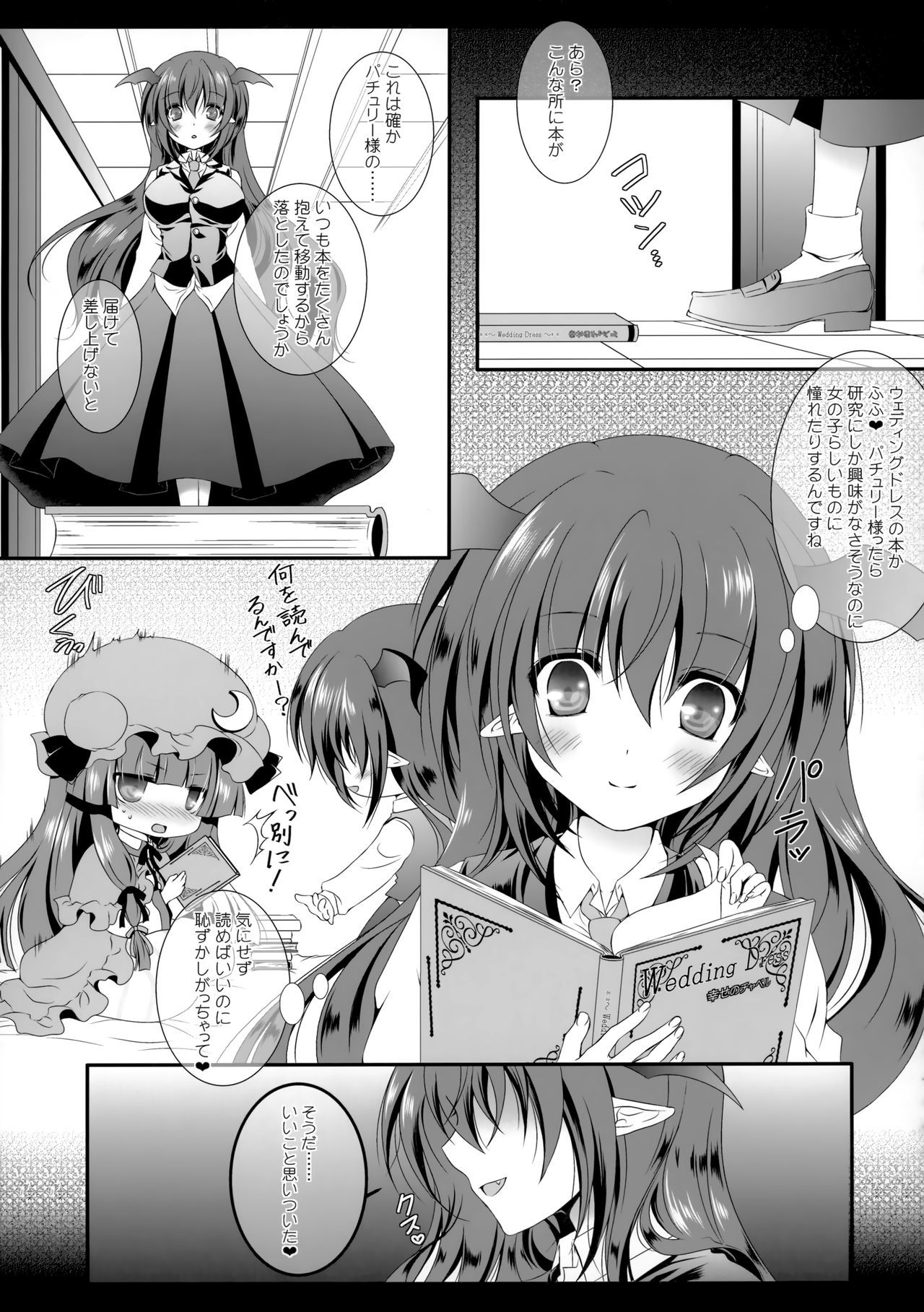 花瀬戸蘭東方サイロクシュウ