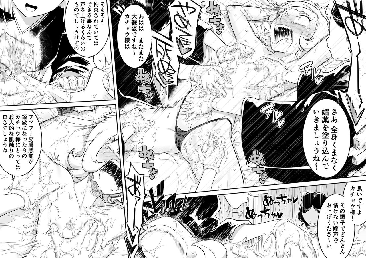 かちょう青道霊ちょうきょうII