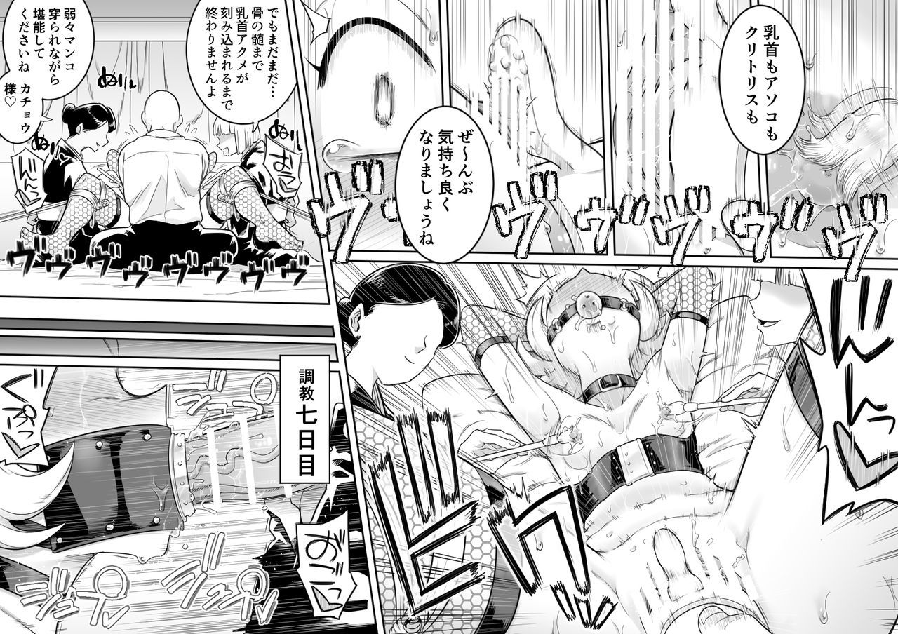 かちょう青道霊ちょうきょうII