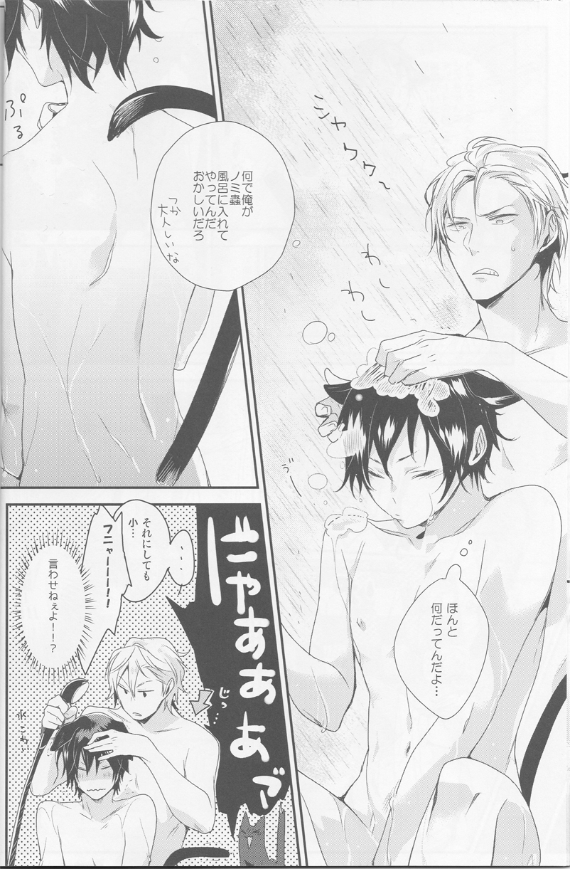 Cat＆amp; Chocolate-Durarara doujinshi Japanese