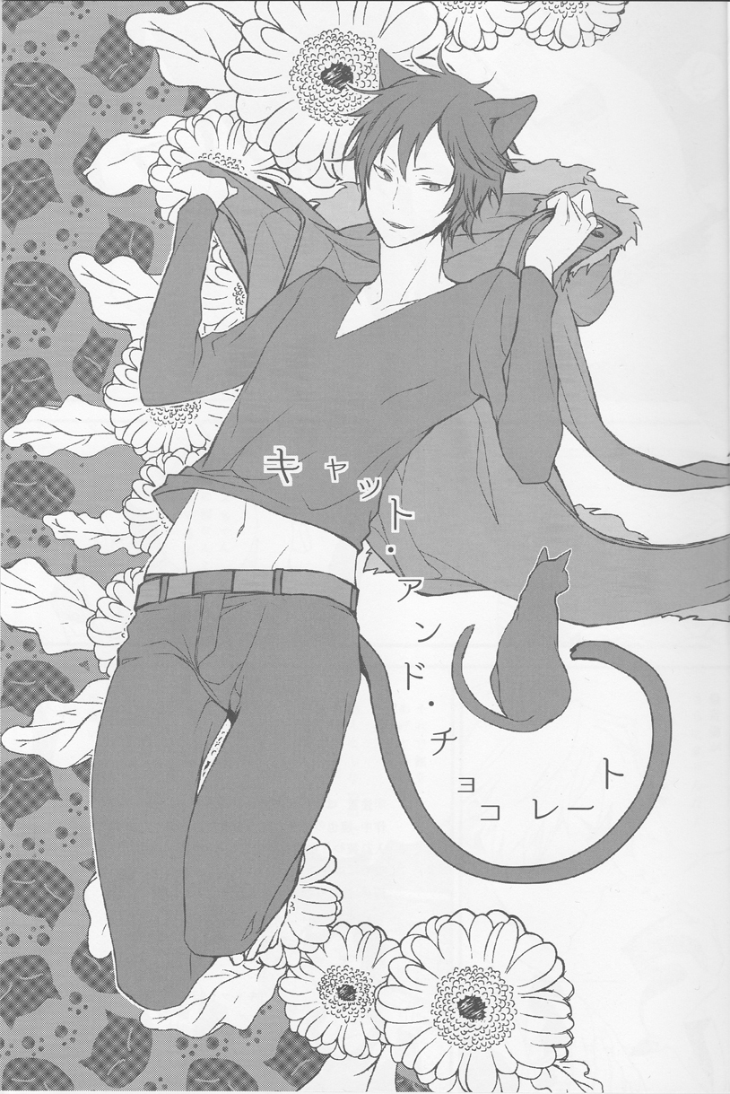 Cat＆amp; Chocolate-Durarara doujinshi Japanese
