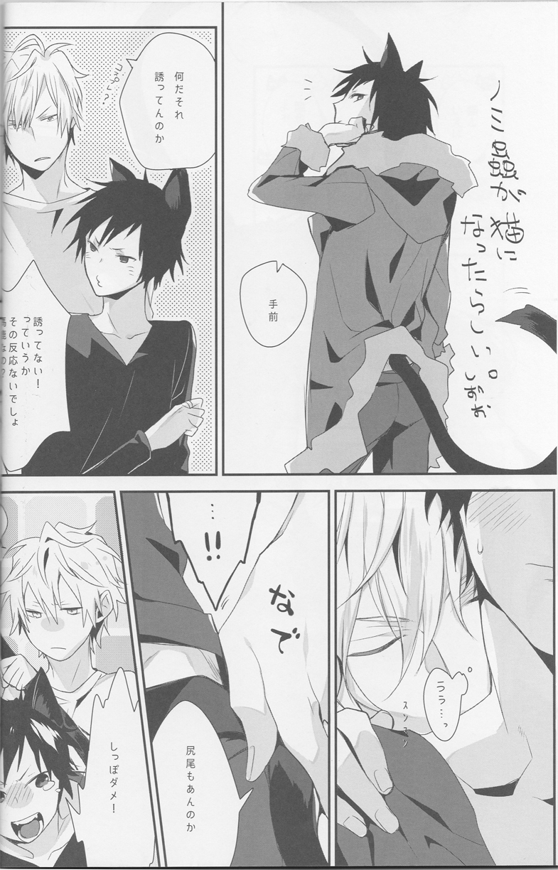Cat＆amp; Chocolate-Durarara doujinshi Japanese
