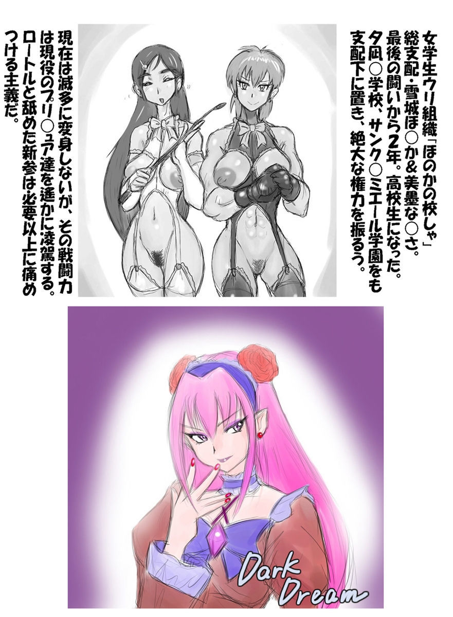 プリキュラホルスタズミン＆＃x27;なともだち〜つ★きせきの半文守護！