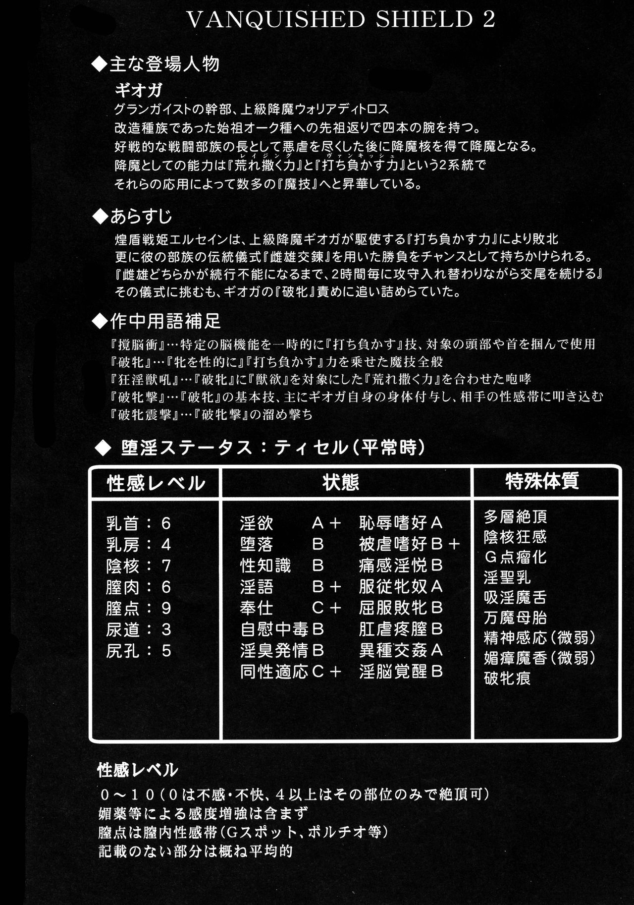 千姫千姫エルセインVANQUISHEDSHIELD 2