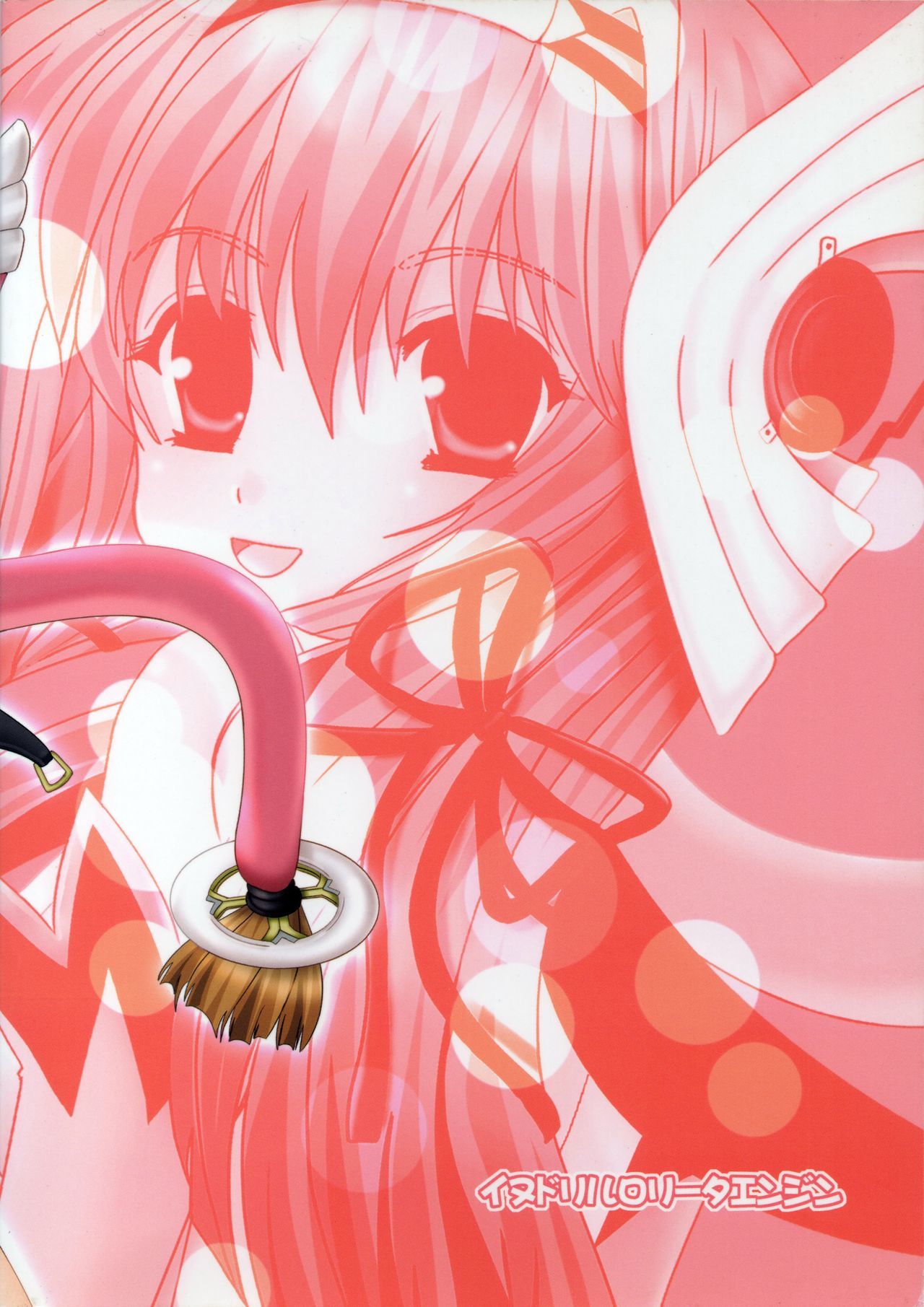 鯉のインストール