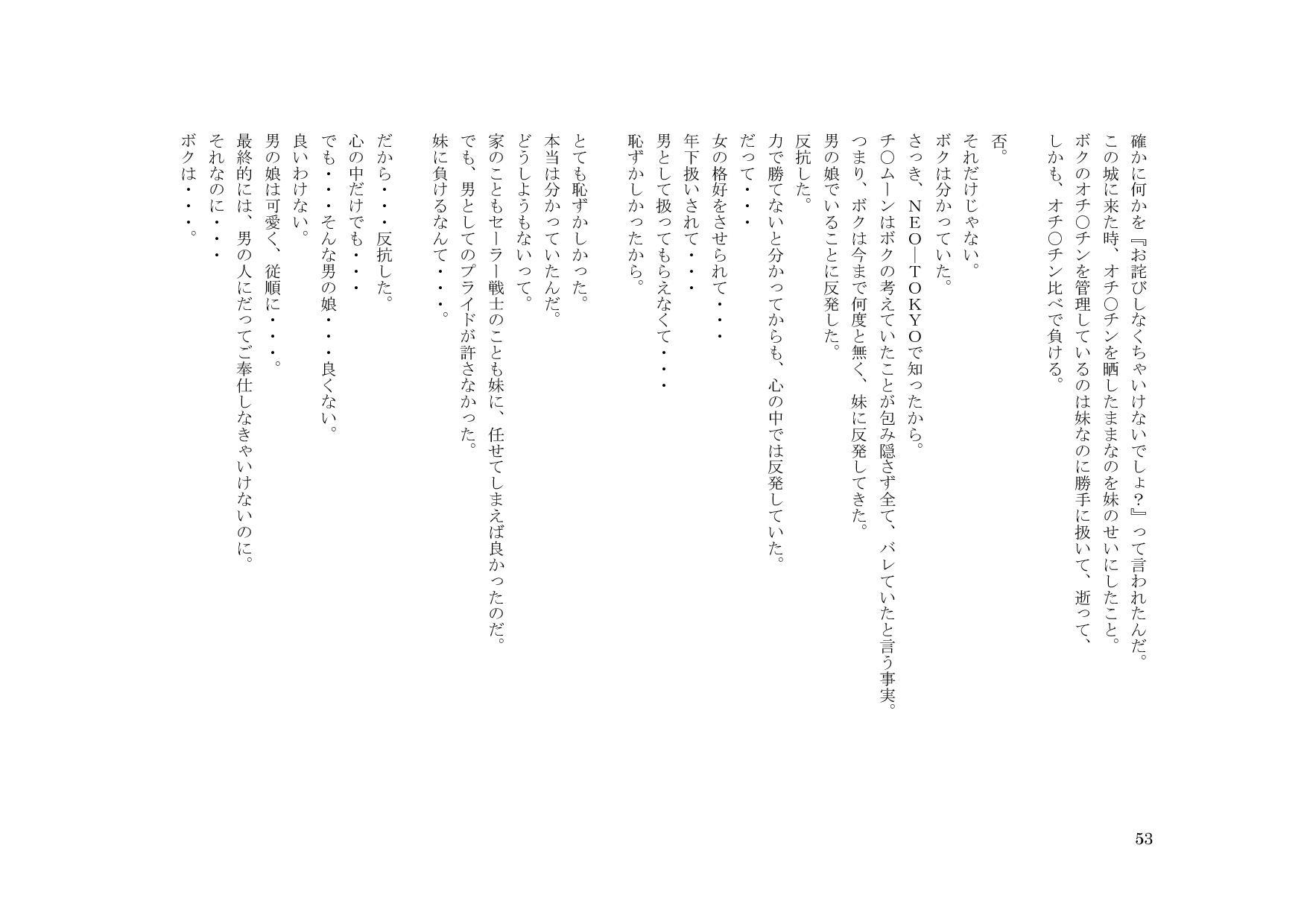 男の娘セーラー戦士W