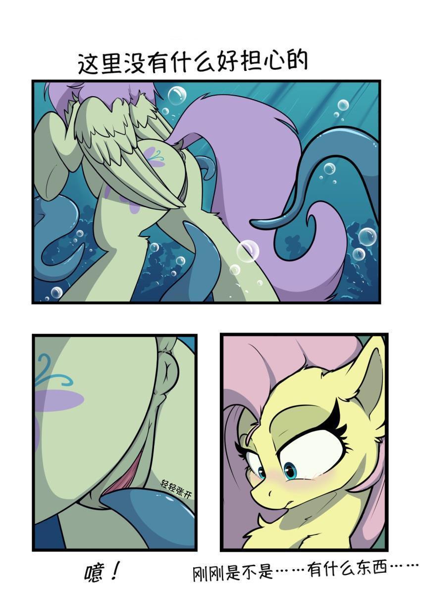 【浮力驹翻译组】小潭邂逅