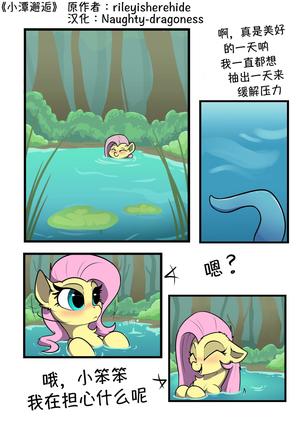 【浮力驹翻译组】小潭邂逅