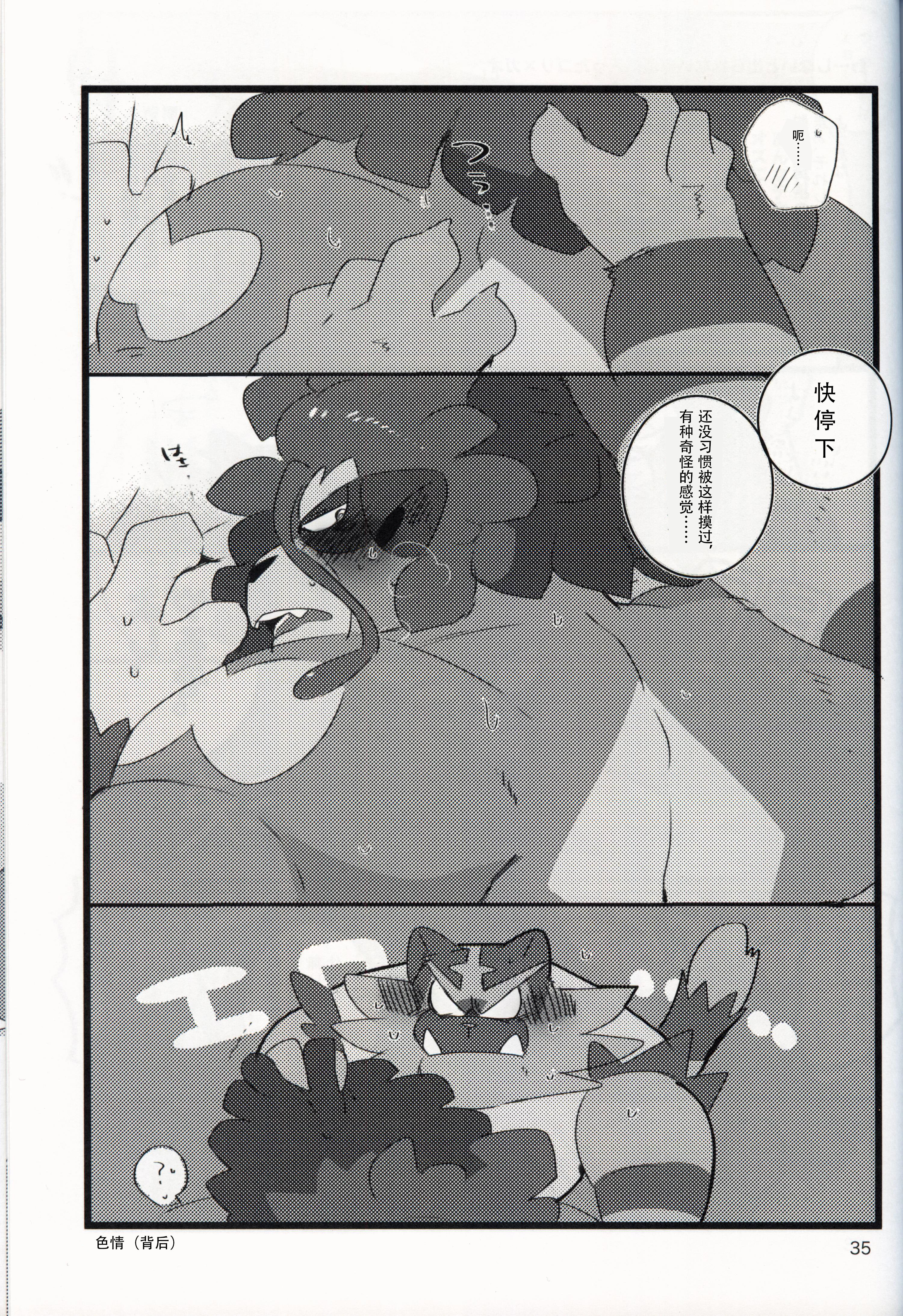 ワイルドビート!!