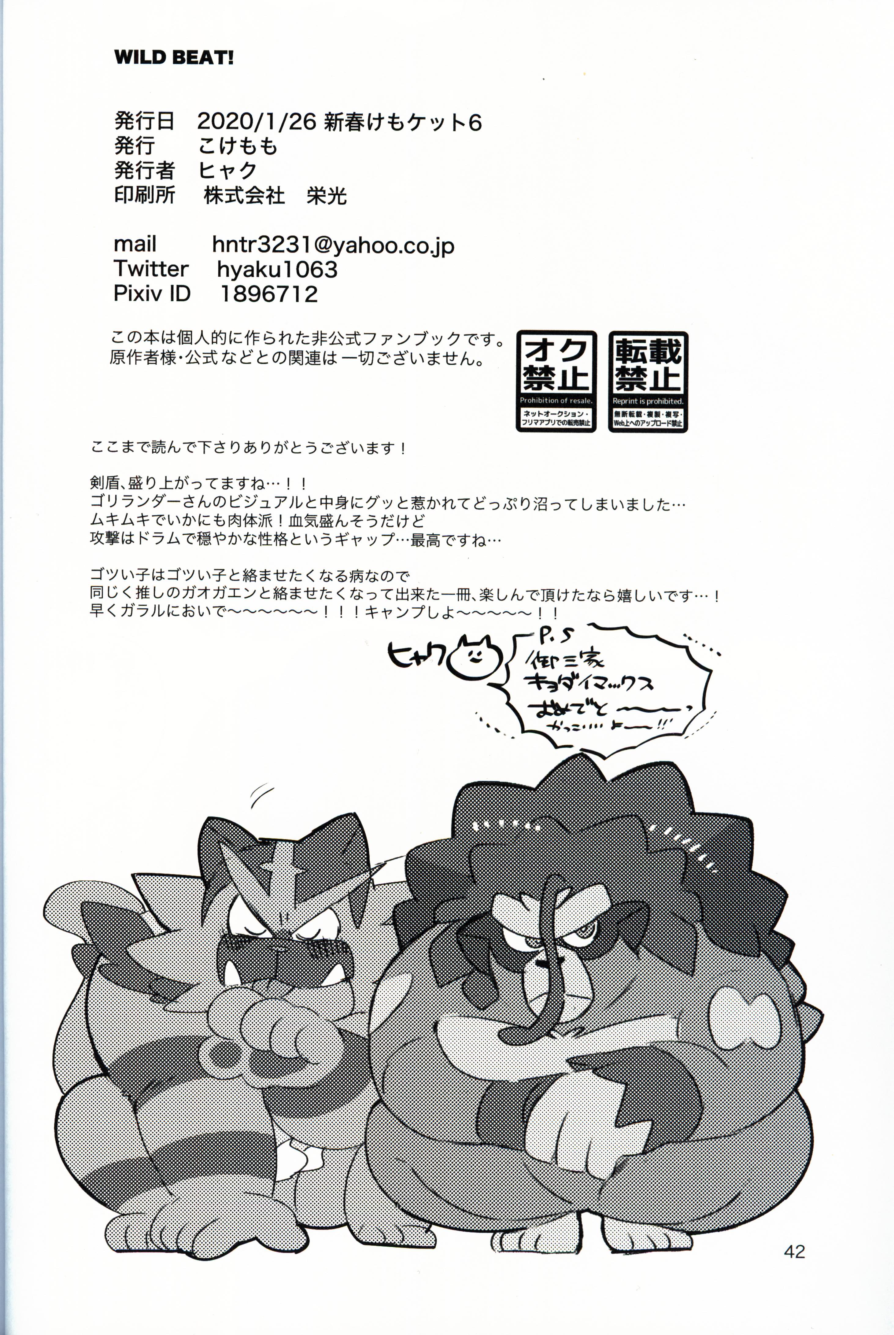 ワイルドビート!!