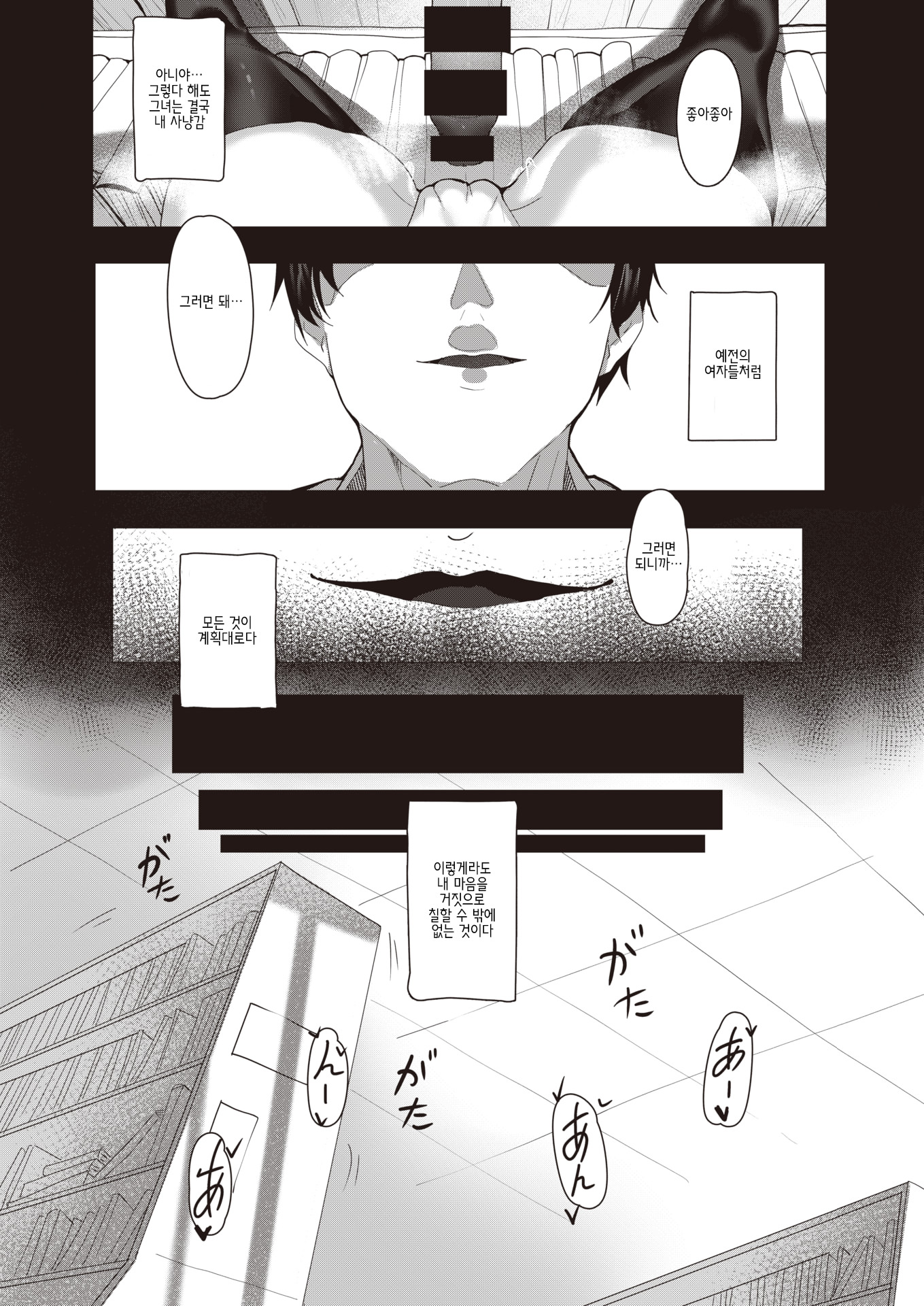 コスモス-花のように