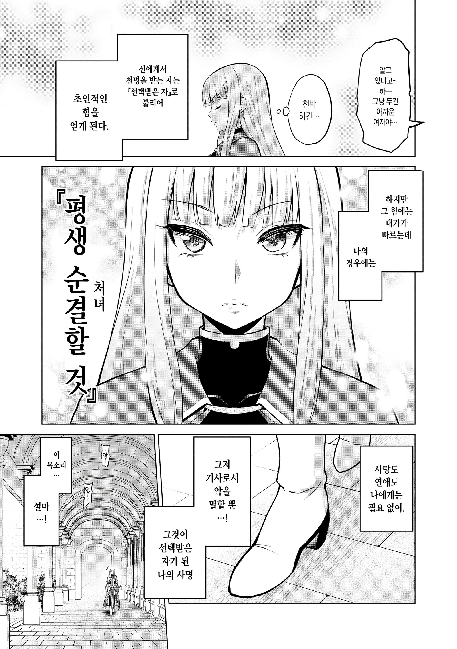 少女岸セラフィナ| 처녀기사세라피나