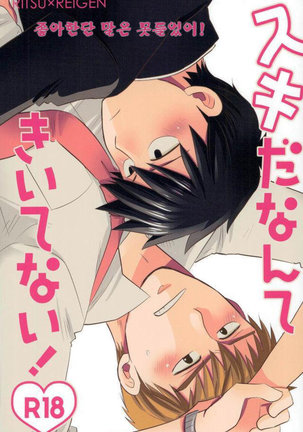 スキダナンテキイテナイ！