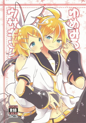 梦中情兔中国語