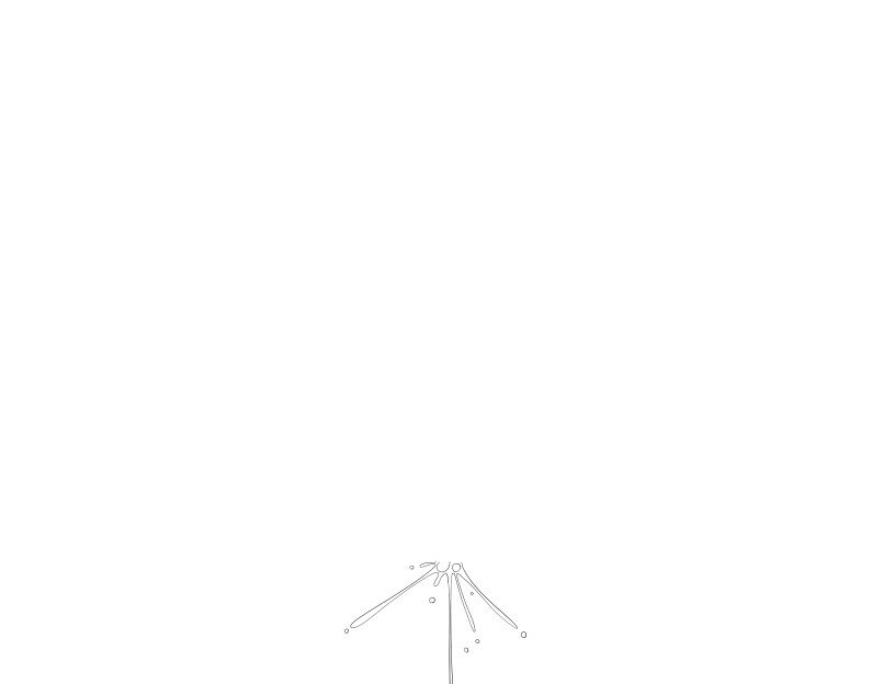 ゆうかちらばた大洋会のかけら-