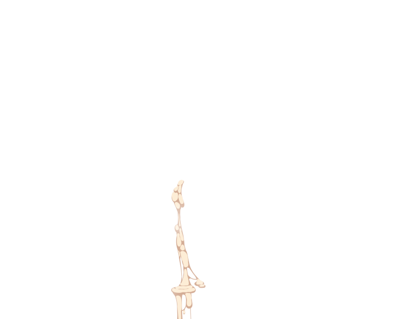 ゆうかちらばた大洋会のかけら-