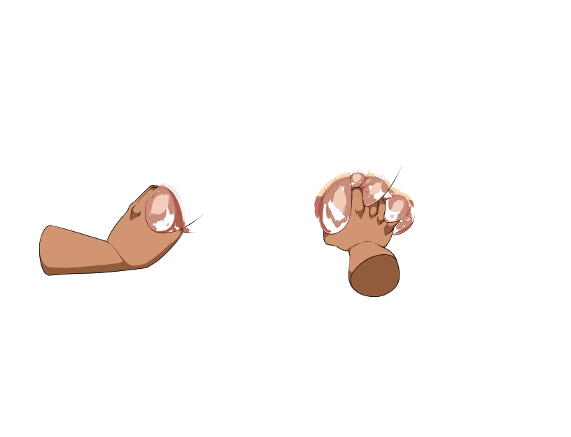 ゆうかちらばた大洋会のかけら-