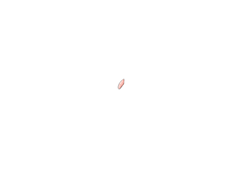 ゆうかちらばた大洋会のかけら-