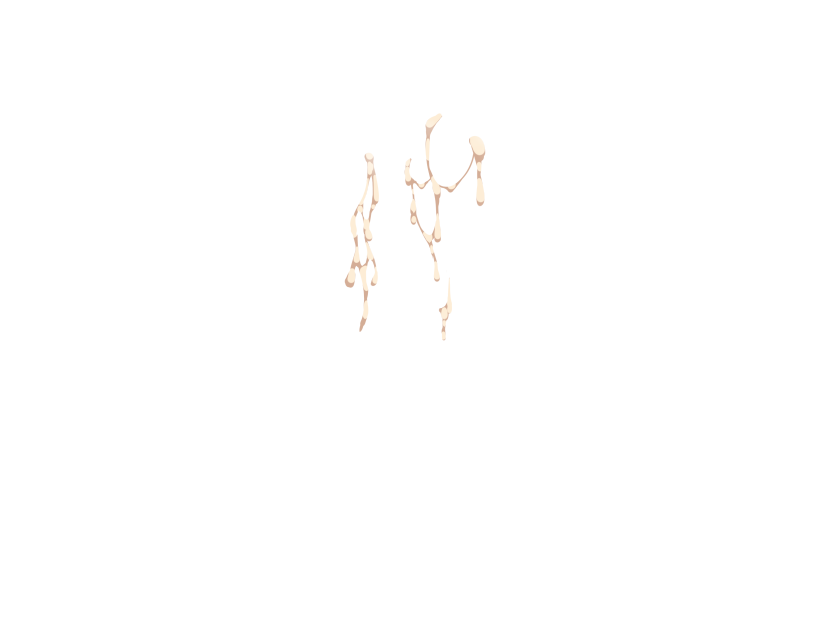 ゆうかちらばた大洋会のかけら-