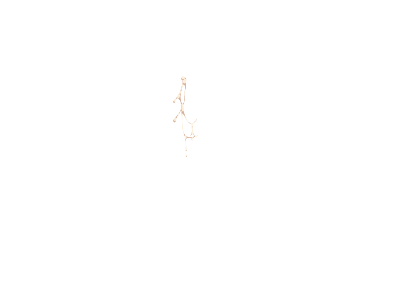 ゆうかちらばた大洋会のかけら-