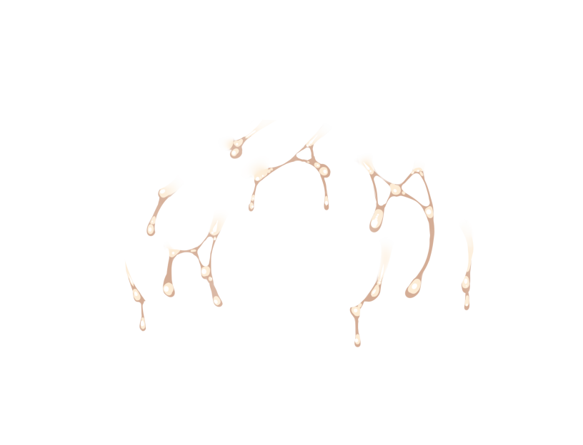 ゆうかちらばた大洋会のかけら-