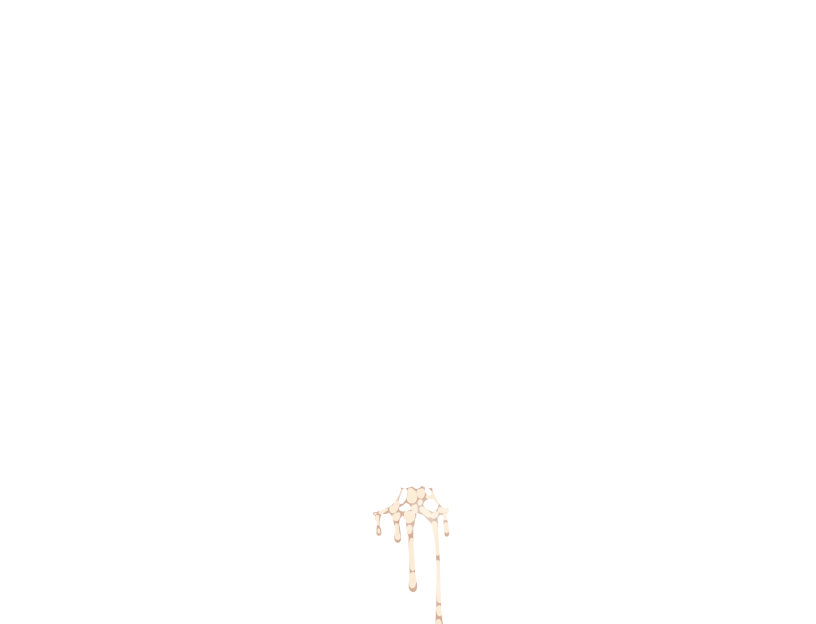 ゆうかちらばた大洋会のかけら-