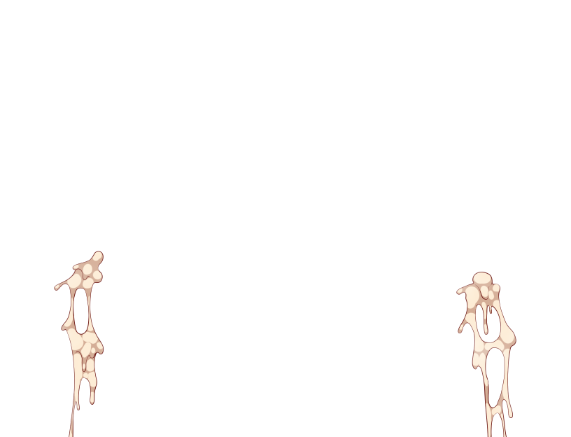 ゆうかちらばた大洋会のかけら-