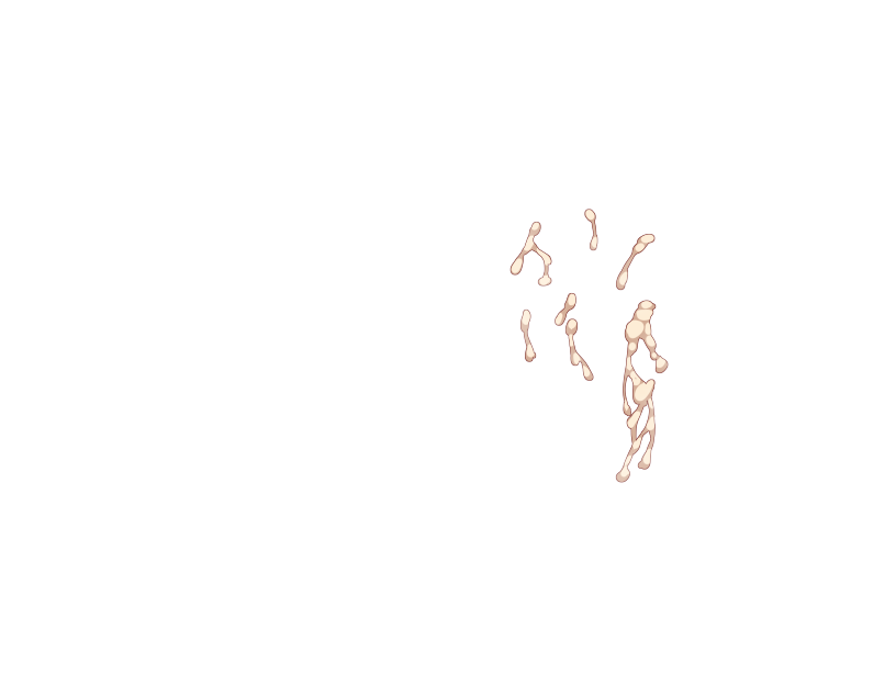 ゆうかちらばた大洋会のかけら-