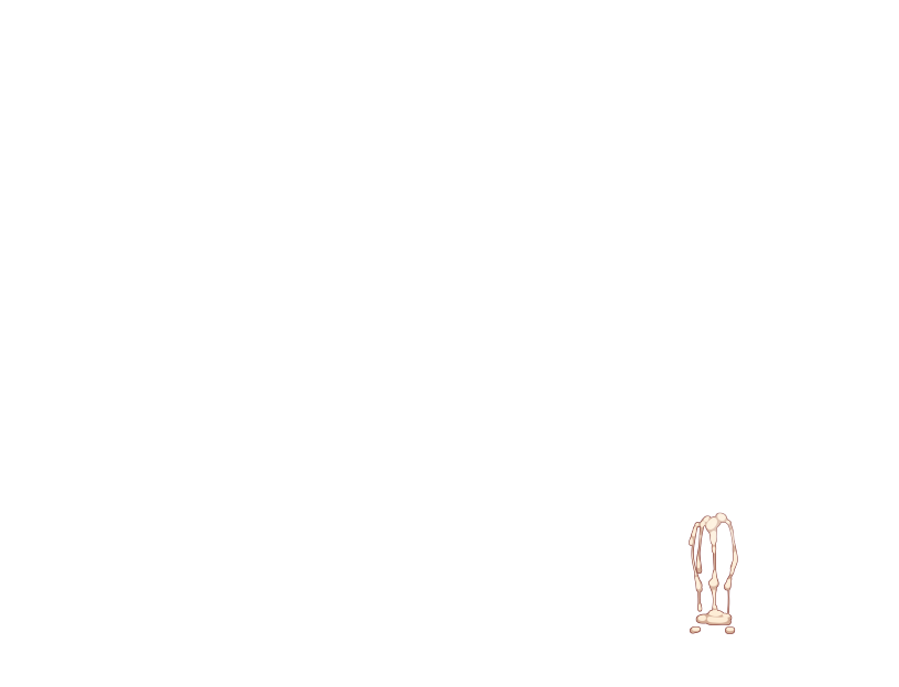 ゆうかちらばた大洋会のかけら-