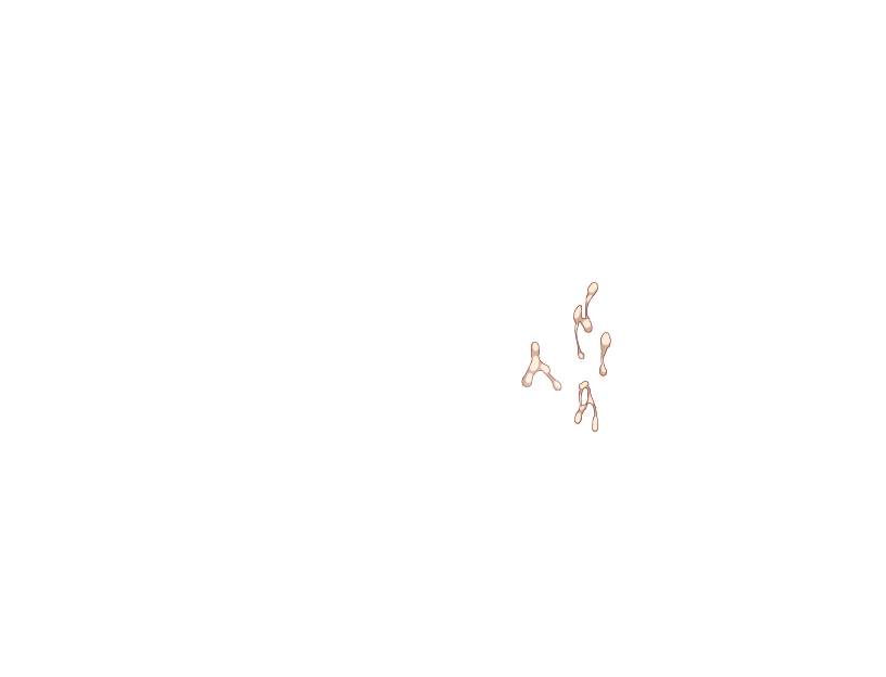 ゆうかちらばた大洋会のかけら-