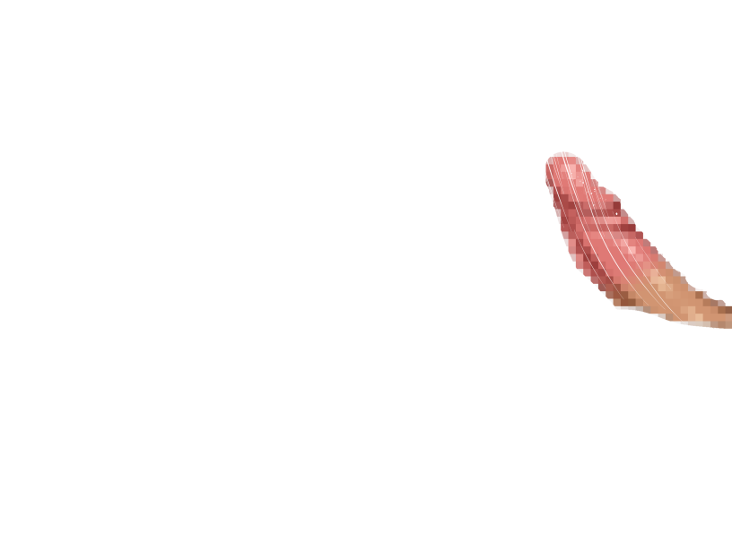 ゆうかちらばた大洋会のかけら-