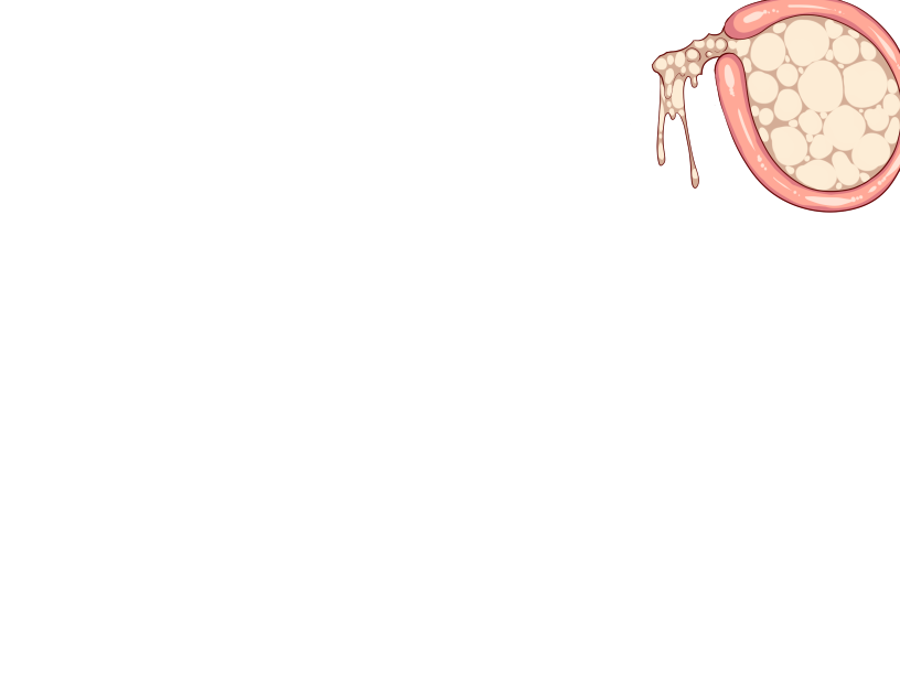 ゆうかちらばた大洋会のかけら-