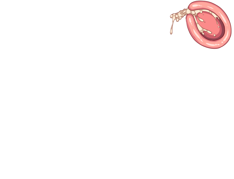 ゆうかちらばた大洋会のかけら-