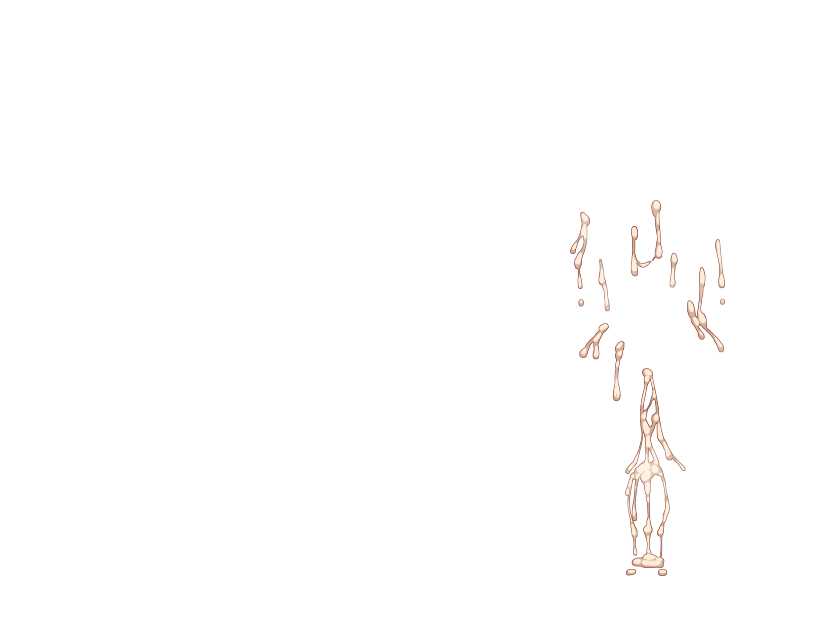 ゆうかちらばた大洋会のかけら-