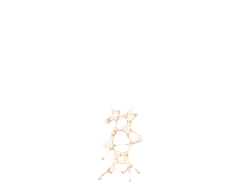 ゆうかちらばた大洋会のかけら-