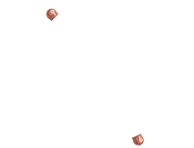 ゆうかちらばた大洋会のかけら-